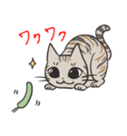 ゆふぃにゃんにゃんスタンプ（個別スタンプ：4）