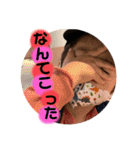 ゆうひぽん（個別スタンプ：12）