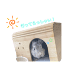 おしるこ あいさつスタンプ（個別スタンプ：2）