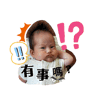 世羅醬的日常會話（個別スタンプ：4）