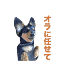 ダックス＆ミックス犬の日常スタンプ（個別スタンプ：15）