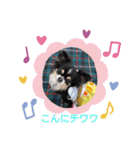 かわいいチワワ女子のスタンプ（個別スタンプ：3）