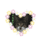 えまちゃん❤︎❤︎（個別スタンプ：2）