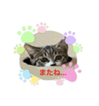 えまちゃん❤︎❤︎（個別スタンプ：8）