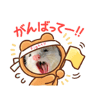 坂田のフェレット（個別スタンプ：7）