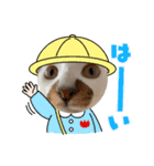 アイドルくーちゃん①（個別スタンプ：12）