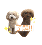 あいらぶ♡メル＆ニコ2（個別スタンプ：5）