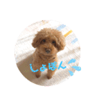 あいらぶ♡メル＆ニコ2（個別スタンプ：6）