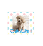 あいらぶ♡メル＆ニコ2（個別スタンプ：8）