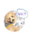 あいらぶ♡メル＆ニコ2（個別スタンプ：9）