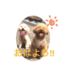 あいらぶ♡メル＆ニコ2（個別スタンプ：15）