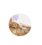 あいらぶ♡メル＆ニコ2（個別スタンプ：18）