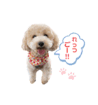 あいらぶ♡メル＆ニコ2（個別スタンプ：19）