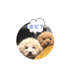 あいらぶ♡メル＆ニコ2（個別スタンプ：20）