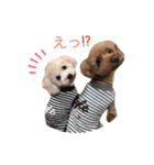 あいらぶ♡メル＆ニコ2（個別スタンプ：22）