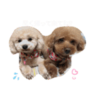 あいらぶ♡メル＆ニコ2（個別スタンプ：25）