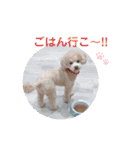 あいらぶ♡メル＆ニコ2（個別スタンプ：26）