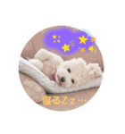 あいらぶ♡メル＆ニコ2（個別スタンプ：28）