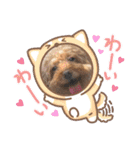 あいらぶ♡メル＆ニコ2（個別スタンプ：31）