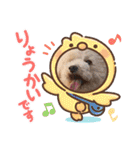 あいらぶ♡メル＆ニコ2（個別スタンプ：35）