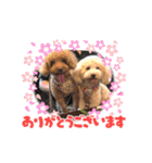 あいらぶ♡メル＆ニコ2（個別スタンプ：39）