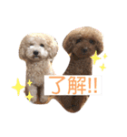 あいらぶメル＆ニコ2（個別スタンプ：6）