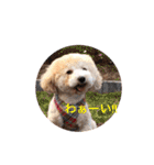 あいらぶメル＆ニコ2（個別スタンプ：7）