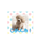 あいらぶメル＆ニコ2（個別スタンプ：8）