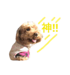 あいらぶメル＆ニコ2（個別スタンプ：12）