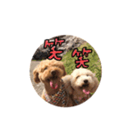 あいらぶメル＆ニコ2（個別スタンプ：13）