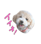 あいらぶメル＆ニコ2（個別スタンプ：18）