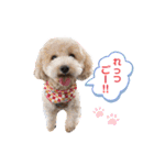 あいらぶメル＆ニコ2（個別スタンプ：19）