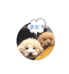 あいらぶメル＆ニコ2（個別スタンプ：20）
