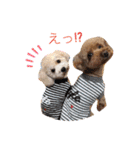 あいらぶメル＆ニコ2（個別スタンプ：21）