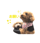 あいらぶメル＆ニコ2（個別スタンプ：22）