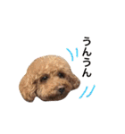 あいらぶメル＆ニコ2（個別スタンプ：23）