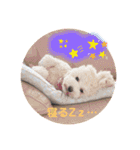 あいらぶメル＆ニコ2（個別スタンプ：27）