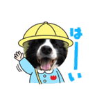 中嶋犬（個別スタンプ：8）