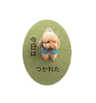 中嶋犬（個別スタンプ：9）