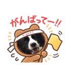 中嶋犬（個別スタンプ：13）