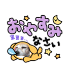 中嶋犬（個別スタンプ：16）