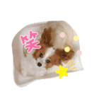 めぐみるくのペットたち2（個別スタンプ：4）