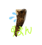 めぐみるくのペットたち2（個別スタンプ：8）