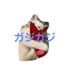めぐみるくのペットたち2（個別スタンプ：10）