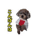 うらら ＆ なつスタンプ（個別スタンプ：7）