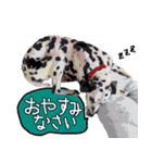 うらら ＆ なつスタンプ（個別スタンプ：9）