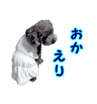 うらら ＆ なつスタンプ（個別スタンプ：12）