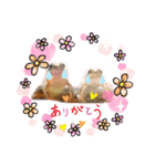 カエルと月と金魚。（個別スタンプ：1）