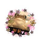カエルと月と金魚。（個別スタンプ：6）