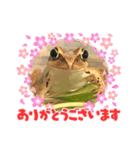 カエルと月と金魚。（個別スタンプ：12）